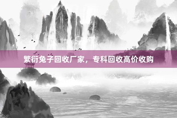 繁衍兔子回收厂家,专科回收高价收购